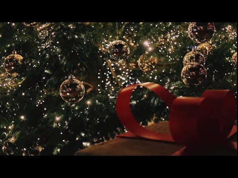 ميلادك يا يسوع EB1 2 3 4 Videos