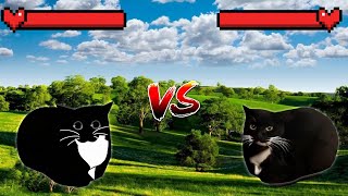 Maxwell cat vs Maxwell cat 2D