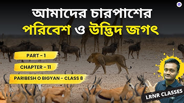 আমাদের চারপাশের পরিবেশ ও উদ্ভিদ জগৎ Class 8 পরিবেশ ও বিজ্ঞান Chapter 11 Part 1
