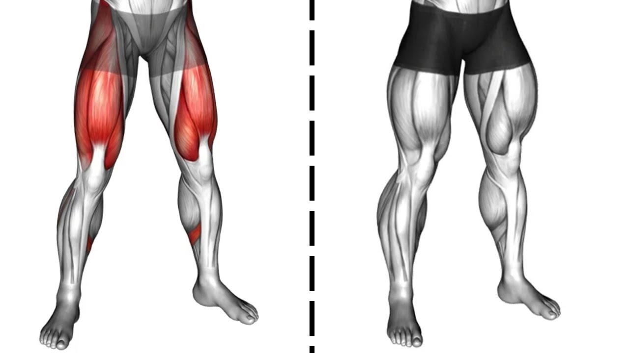 How To Get Bigger Legs (No Better Than This) - YouTube