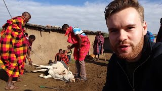 Visiting the Maasai - Kenya's Most Fearsome Tribe 🇰🇪