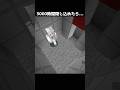 3000時間閉じ込めたら… #マイクラ #マインクラフト #minecraft #あまめちゃん