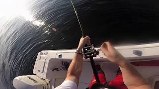 Block Island Stripers - Southwest Ledge