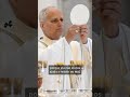 A força da fé! # #papaleãoxiv #evangelhododia #fé #deus #jesus #vaticano #homilia #shorts