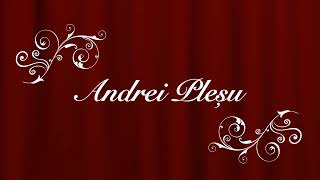 Andrei Plesu - Comedii la Portile Orientului