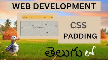 Web Development CSS PADDING Detail Explanation in Telugu (Lesson - 8)