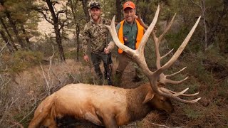 GIANT MONTANA PUBLIC LAND BULL ELK! - (compilation)