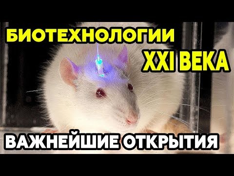 Видео: Кой пример представя използването на съвременните биотехнологии?