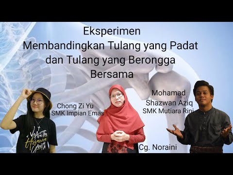 Video: Papak Lidah Dan Alur Berongga: 667x500x80 Dan Saiz Lain, Perbandingan Dengan GWP Padat