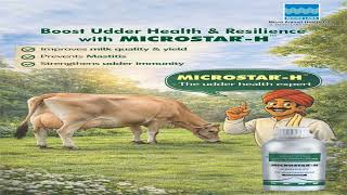 Microstar - H