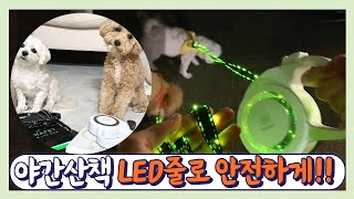 LED리드줄,우리강아지 인싸템! 야간산책 LED리드줄 꿀템 추천!