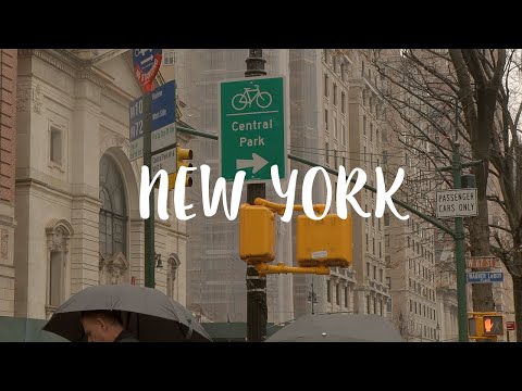 Living in New York VLOG / Weekend Life, French Brunch, Bookstore Cat, Flea Market, What I eat