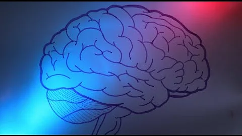 ¿Cómo afectan las drogas al cerebro?