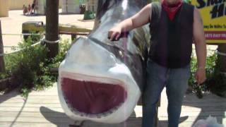 Vintage Jiggidyndg Hurricane Harbor Shark With Joeychitown Six Flags Great America 2008