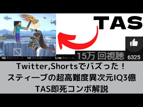 【TAS】スティーブの超高難度TAS即死コンボ解説【スマブラSP】