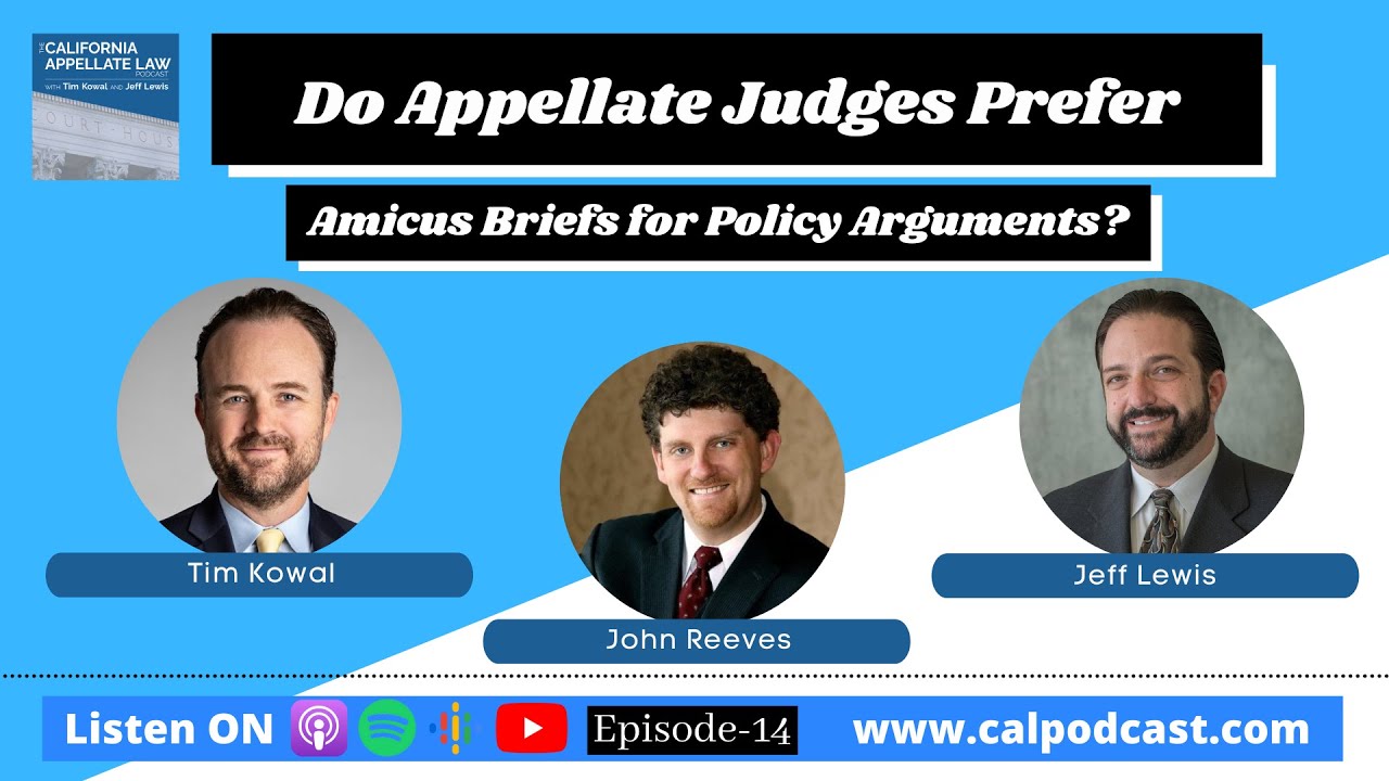 Do Appellate Judges Prefer Amicus Briefs For Policy Arguments?