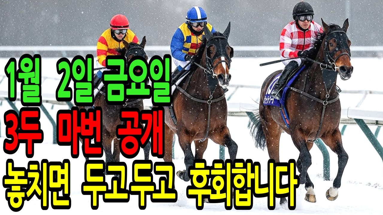 1월 2일 금요일 경마~“오늘 밝혀지는 승부 핵심, 지나치면 반드시 후회합니다”ㅣ승전경마 전문가의 이변 포착 l 경마 l 경마예상 l 코리아레이스 l 검빛경마 ㅣ경마정보