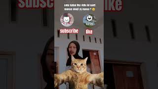 AYO AYOOO 😊😊 #subscribe #like AYO AYOOO 😊😊 #subscribe #like