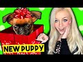 I GOT A PUPPY FOR CHRISTMAS!! Meeting my Puppy for the First Time EVER! (*CUTE*)