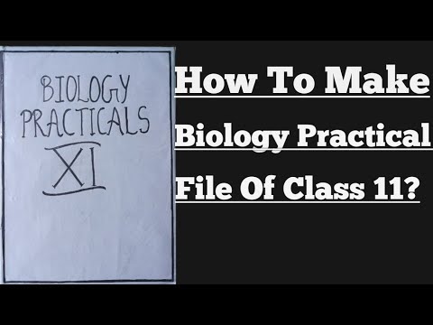 how to make biology homework