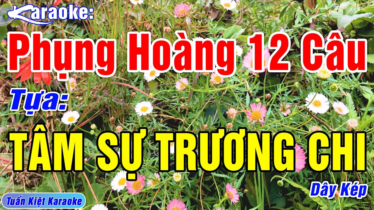 Karaoke Phụng Hoàng 12 Câu Tâm Sự Trương Chi Dây Kép | Beat Mới, Mùi Mẫn, Dễ Hát – Tuấn Kiệt Karaoke