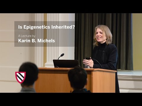 Video: Inter- Og Transgenerationel Epigenetisk Arv: Evidens I Astma Og KOL?