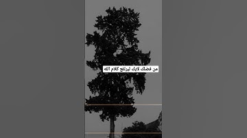 سورة الغاشية | خالد الناصر #القرآن_الكريم #ترند #اكسبلور #foryou #قرآن  #quran