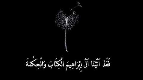 أَمْ يَحْسُدُونَ النَّاسَ بصوت القارئ سعود الفايز أجمل حالات واتساب جديدة QHD مقاطع قصيرة 240
