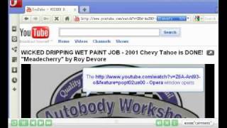 How to grab youtube video by Flv Grabber?