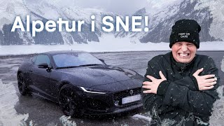 Thumbnail for 10.000 hestekræfter slippes fri i Alperne. Den VILDESTE tur!