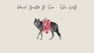 David Guetta ft. Sia - She Wolf (Empty Arena)