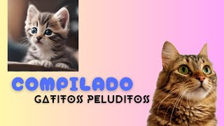 COMPILADO GATITOS RONRONEANTES Y TIERNITOS