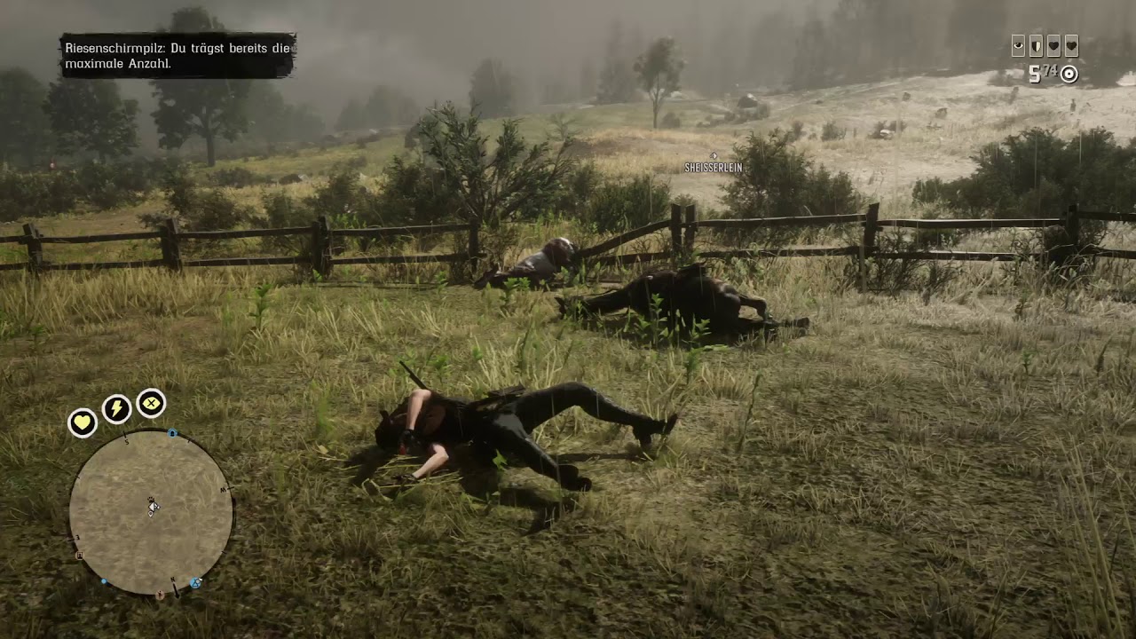 Red Dead Redemption 2 mein Pferd braucht eine Brille