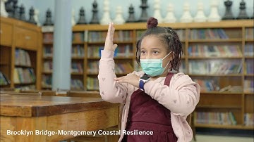 Brooklyn Bridge-Montgomery Coastal Resilience Educational Video Teaser