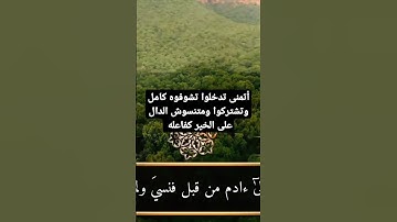 تلاوة خاشعة سورة طه #تلاوة_خاشعة #سورة_طه #سورة_يس #القرآن_الكريم #قرآن #قران_كريم #اكسبلور #الشامي