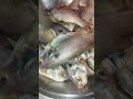 🔥Bombay duck& Rawas fish #like#food#trending#share #comment#viral fish#explore #ytshorts#subscribe