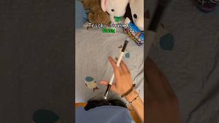 Learn Swivel With Me