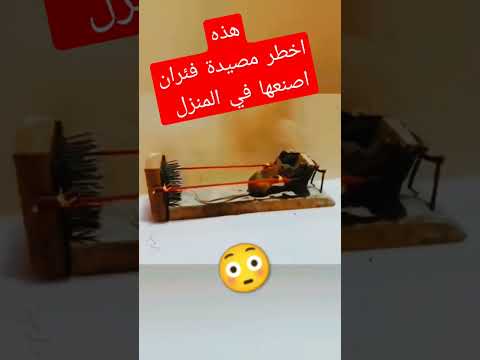 مصيدة للفئران في المنزل بأدوات بسيطة