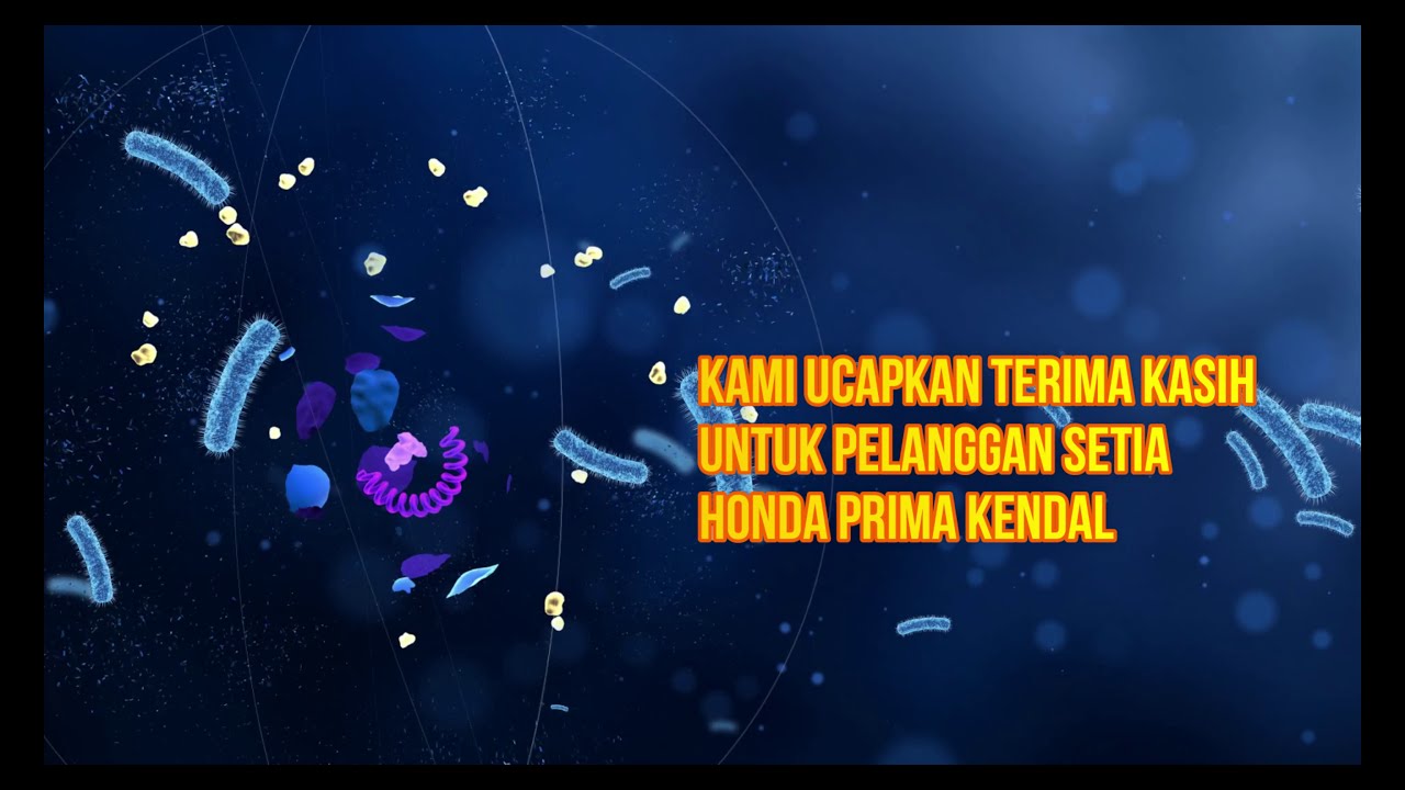 NOVITA PRIMA KENDAL ( JUDIKA cinta karena cinta ) - YouTube