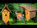 How to make a Woodspirit Birdhouse. Wood working/Wood carving.