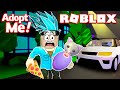 УСЫНОВИЛ КОТЁНКА в ROBLOX adopt me ! ЧТО теперь с ним ДЕЛАТЬ ? Damon