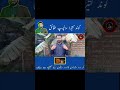 Tragcanth Gum|Gond Katira k faydey #gondkatira #shorts #viralshorts @herbalistnoman9965