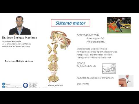 Vídeo: EM Recurrente Progresiva: Síntomas, Diagnóstico, Tratamiento Y Más