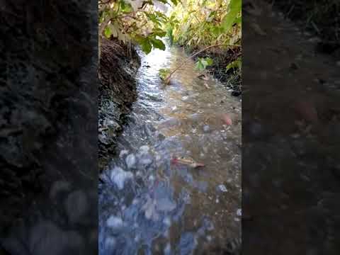 شاهد جريان مياه النيل في احدي القري في مصر