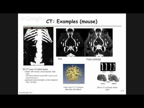 4.2 - Computed