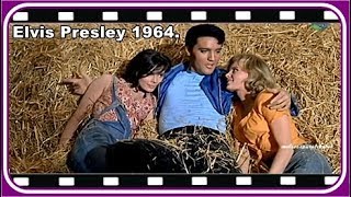 ✅ Elvis Presley = There&#39;s gold In The Mountains 1964!