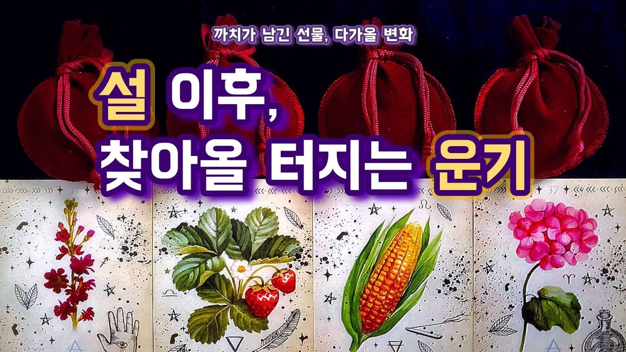 [타로/새해운세] 🔮설 이후, 터지는 변화와 운기｜당신에게 찾아올 흐름🐴✨