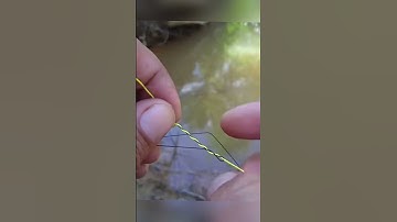 Cách nối dây pe vs leader đơn giản đi câu lure #câucá #fishing #lurefishing #fishingknot