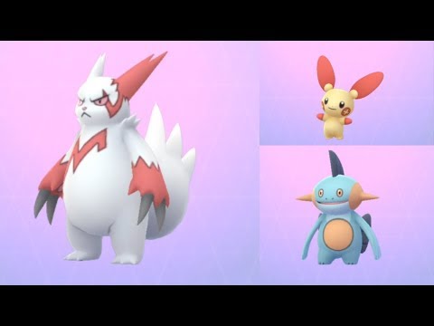 skitty and poochyena tagged videos midnight news