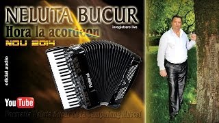 NELUTA BUCUR . Hora la acordeon (live audio) chords